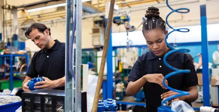 field-art-installation_7